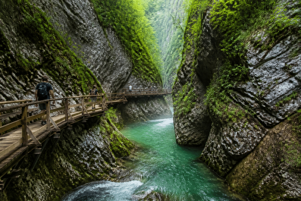 gorge de vintgar