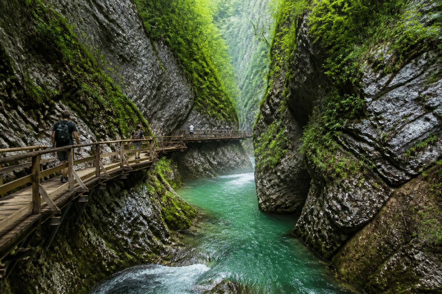gorge de vintgar